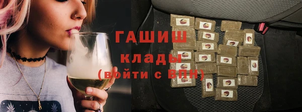 ГАЛЛЮЦИНОГЕННЫЕ ГРИБЫ Корсаков