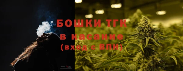 гидра Коряжма