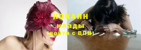 ГАЛЛЮЦИНОГЕННЫЕ ГРИБЫ Корсаков
