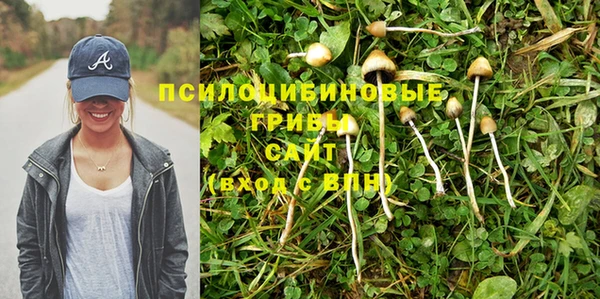 гидра Коряжма