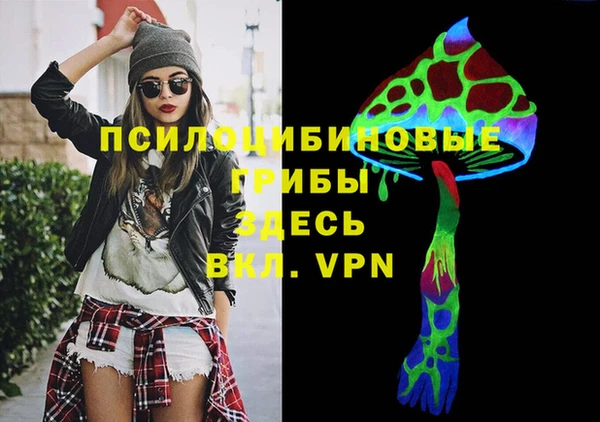 гидра Коряжма