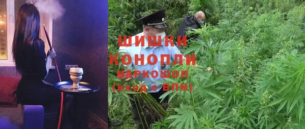 гидра Коряжма