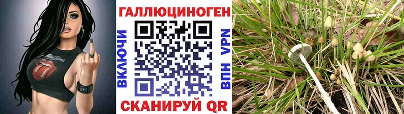 магазин  наркотиков  Луга  Галлюциногенные грибы Magic Shrooms 